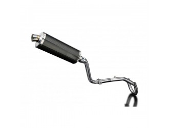 Complete exhaust system 350mm oval carbon silencer...