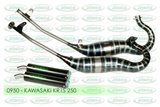 Mufflers Expansion Drains Kawasaki KR 1S 250 1991 1992 Jollymoto avec silencieux de carbone