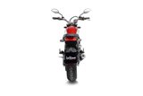 Silencieux Leovince Lv-10 Carbon Fiber Ducati Scrambler 800 Icon/Icon Dark/Nightshift/Urban Motard 2021 - 2023