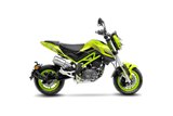 Sistema di Scarico Terminale LeoVince 15261 LV-10 BENELLI TNT TORNADO NAKED T 125 2017 - 2023