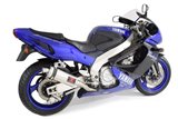 Auspuffanlage 300 mm Ovaler Edelstahl-Schalldämpfer YAMAHA YZF1000 R Thunderace 1996-2003 Black Widow