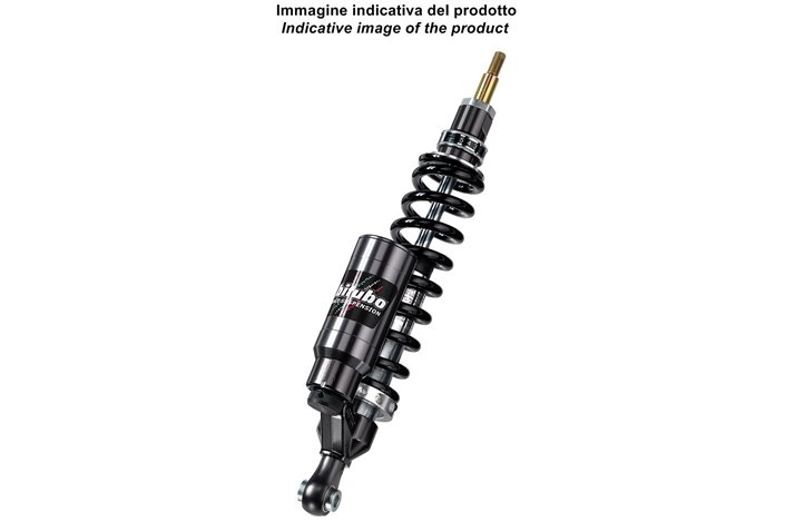 Bitubo Bmw Telelever Front Shock With Separate Tank Bmw R850R (No Abs) 1994 - 2002