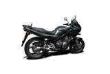 Komplette Abgasanlage runder Carbon-Schalldämpfer 200 mm Yamaha XJ600 Diversion 1992 2004