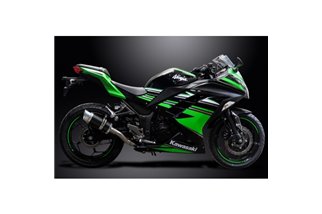 Komplette Abgasanlage für Kawasaki Ninja 300 2013–19, 2–1, runder Carbon-Schalldämpfer, 200 mm