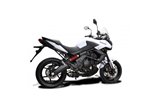 Komplette Abgasanlage 225 mm ovale Carbon-Schalldämpfer Yamaha XJR1300 1998 2006