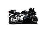 Ligne d'échappement complète silencieux ovale 225mm Triumph Street Triple 675 2013 2016