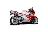 Complete BSAU oval steel exhaust system 350mm Honda CBR1100XX Blackbird