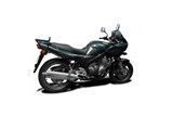 Komplette BSAU Edelstahl-Auspuffanlage 450 mm Honda CBR1100XX Blackbird