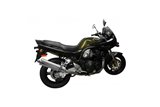 Sistema di scarico completo silenziatori ovali in acciaio inox da 450 mm yamaha xj900s diversion 1994 2003