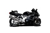 BSAU Honda CB600F Hornet 2007 2014 450 mm Edelstahl-Schalldämpfer, komplette Abgasanlage