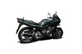 Sistema di scarico completo bsau ovale in carbonio 450mm honda CBR1100XX Blackbird