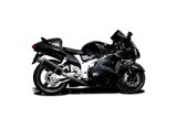 Komplette Abgasanlage BSAU ovale Carbon-Schalldämpfer 350 mm Suzuki SV650 1998 2002