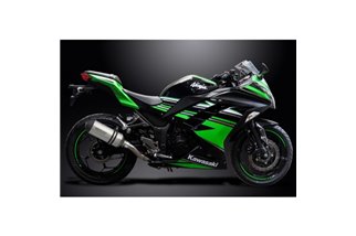 Sistema di scarico completo per Kawasaki Ninja 300 2013-2019 2-1 260Mm X-Oval Silenziatore in titanio