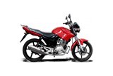 Komplette Abgasanlage aus Edelstahl, Schalldämpfer 320 mm, Honda CB1100SF X11 1999 2002