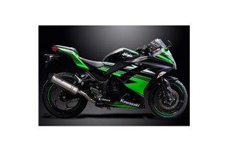 Système Complet D'Échappement pour Kawasaki Ninja 300 2013-2019 2-1 343Mm X-Ovale Inoxydable Silencieux