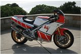 MARMITTE SCARICHI ESPANSIONI ACCIAIO JIM LOMAS YAMAHA RD 500 1984 1987 SILENZIATORI CARBONIO