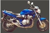 Terminale di scarico exhaust auspuff Suzuki GSF 600 BANDIT 2000 2004 marving carbonio