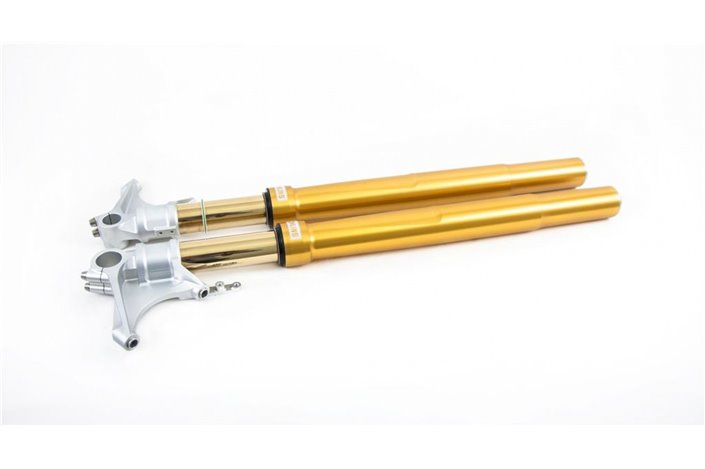 Forcelle OHLINS Road & Track FGRT 232 BMW M 1000 RR 2021-2023