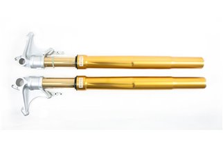 OHLINS Road & Track GOLD FORKS FGRT 231 Ducati Panigale V2 2020-2023