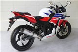 Echappement silencieux alu inox avec bouchon carbone Tyga Honda CBR300R 2014-