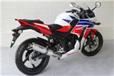 Terminale di scarico in acciaio inox alluminio Tyga Honda CBR300R 2014-