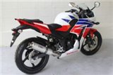 Terminale di scarico in acciaio inox alluminio Tyga Honda CBR300R 2014-