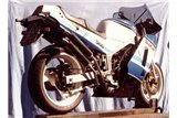 Marmitte scarichi Suzuki RG 500 Jollymoto 0608 silenziatori carbonio