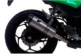 Kohlenstoffauspuff-Terminal Kawasaki Ninja 300 R 2012 2015 K074094CV Thermignoni