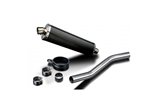 Auspuffschalldämpfer-Kit 450 mm oval Carbon Bsau Honda CBF1000 2006 2011