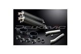 Kit scarico terminale per Kawasaki Zzr1200 Ninja 2002-2005 450mm Ovale Carbon Bsau