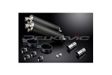 Kit d'échappement pour Kawasaki En500C 1996-2009 450mm Ovale Carbone Bsau