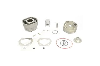 Standard Bore Thermal Group with Cylinder Head Ø 40 mm 50 cc GILERA RCR 50 cc