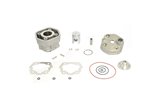 Standard Bore Thermal Group with Cylinder Head Ø 40 mm 50 cc GILERA RCR 50 cc