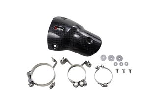 Caracalore Carbone Akrapovic P-Hsb3R1 Bmw G 310 R 2017-2021