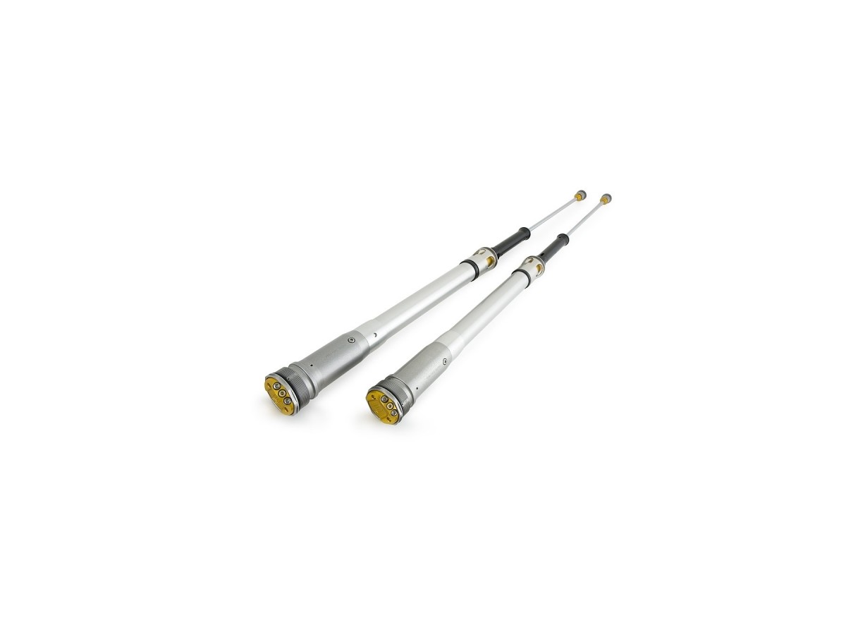 OHLINS FCX 1302 Beta RR2T / RR4T Fork Cartridges