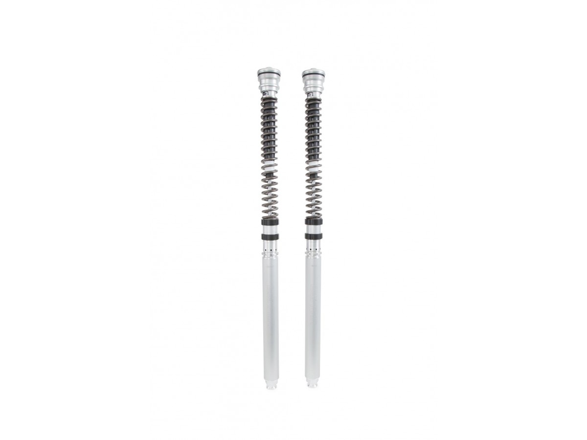 Fork Cartridges KAWASAKI.ZX-10 R 2016 TTX FKR 3 sets of springs 