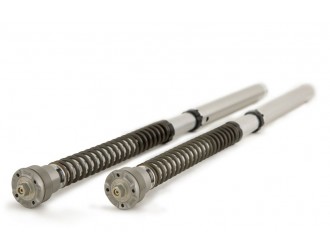 OHLINS Fork Cartridges FGK 221 SUZUKI GSX-R 1000...