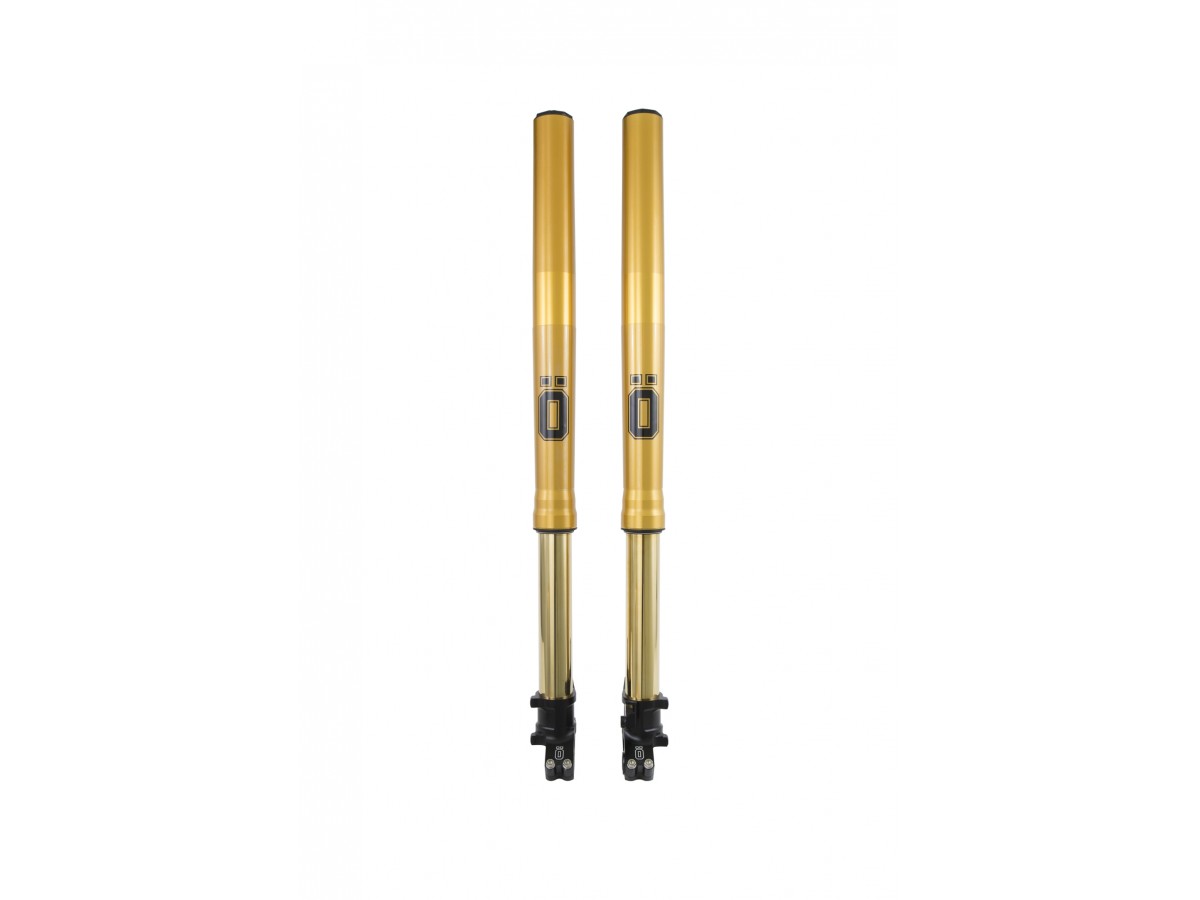 Forcelle OHLINS FFHO 101 Honda CRF1000 Africa Twin ABS 2020-2023