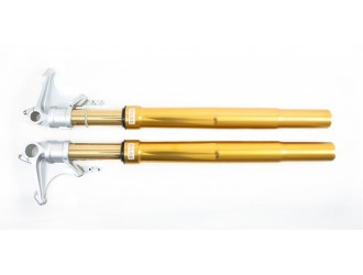 OHLINS Road & Track GOLD FORKS FGRT 231 Ducati 959...