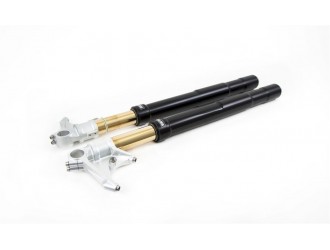 OHLINS Road & Track FORKS BLACK FGRT 214 Ducati Panigale...