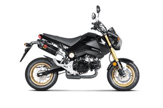 Échappement Silencieux Akrapovič Ligne À Enfiler Honda Msx125 - Grom (2013 - 2015)