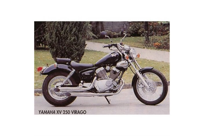 Komplettes Auspuff-Auspuff-Legende Yamaha XV 250 Virago seit 1988 Marktieren