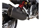 Sistema di scarico terminale 94783 100765 Remus NXT Racing in acciaio nero BMW Enduro F 900 R 2020