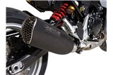 Système d'échappement terminal 94782 100765 acier inoxydable noir Remus NXT Racing BMW Enduro F 900 R 2020