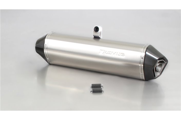 Remus terminal exhaust system 094882 085208 Hexacone titanium BMW F 800 GS 2008