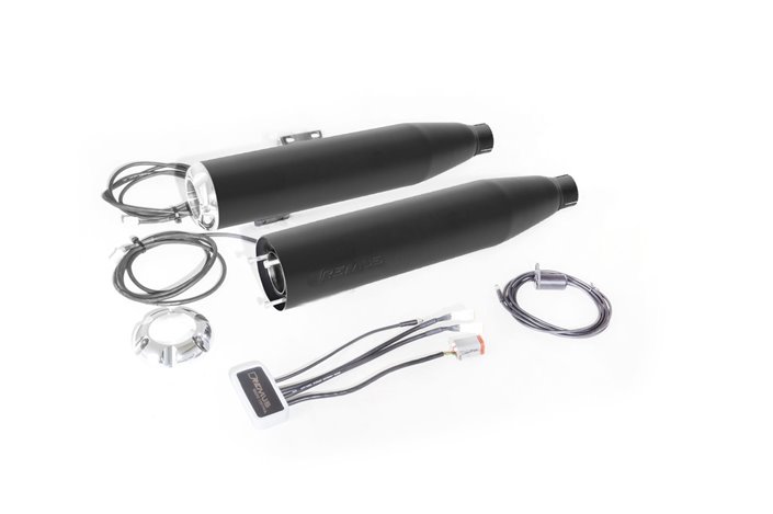 Remus exhaust 007752 300518 Harley-Davidson Sportster XL2 115th Anniversary Forty-Eight (XL 1200X ANX) 2017-2018