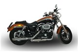 Paire d'échappement de silencieux VPerformance chromés AHAR0220002 Harley-Davidson Sportster 2014-2020