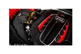 Kit di Aspirazione in carbonio Eventuri EVE-C7RS6-CF-INT Audi C7 RS6 RS7