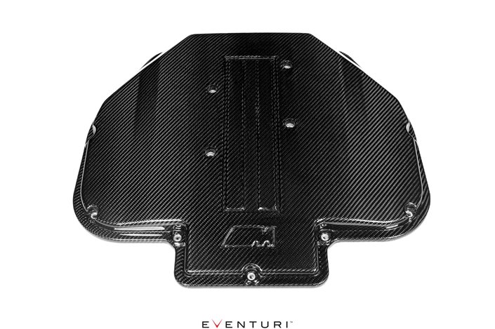 Coperchio Plenum in carbonio Eventuri EVE-S62-CF-PLM BMW S62 V8