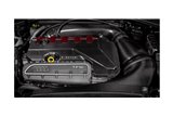 Coprimotore in carbonio nero EVE-ST38V8S-CF-ENG Audi RS3